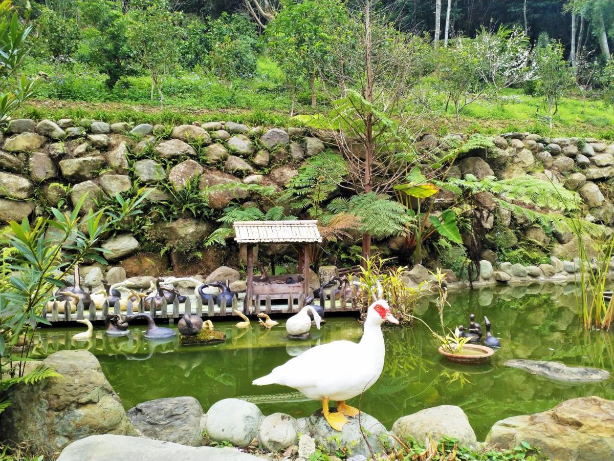 Yanzitao Pottery Coffee B&B Nanzhuang Rom bilde